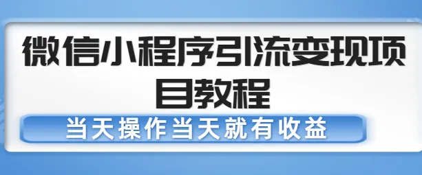 微信小程序引流变现项目教程：实战操作指南，当天收益解析【无水印】-网赚项目