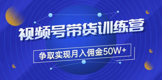 月收入更多万！掌握价值4980元的视频号带货训练营秘诀-网赚项目