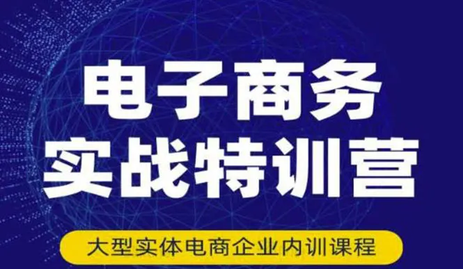 掌握308种电商运营技巧：实战特训营助你轻松入门并迅速成为电商高手-网赚项目