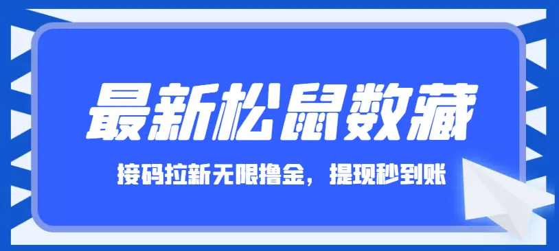 最新松鼠数藏接码拉新无限撸钱项目：秒到账全攻略-网赚项目