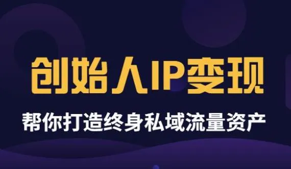 创始人IP变现指南：打造永不枯竭的私域流量资产-网赚项目