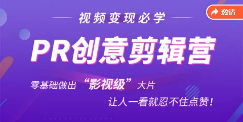 零基础学会抖音 PR创意剪辑制作影视级大片，收获满满赞-网赚项目