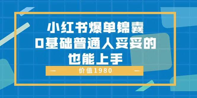 零基础学会小红书爆款技巧！-网赚项目