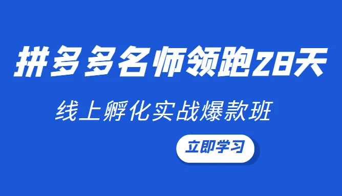 2022年拼多多名师直播带货实操课程-网赚项目