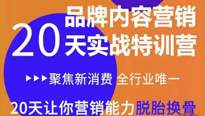 20天精通内容营销：实战特训提升你3倍营销力-网赚项目