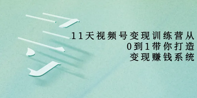 11天学会视频号变现：零基础打造赚钱系统，轻松月增更多-网赚项目