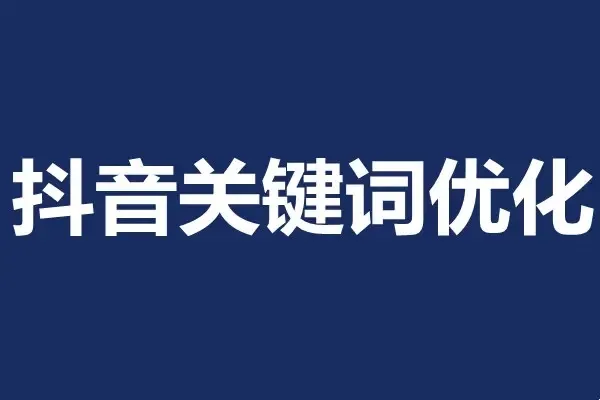 提高抖音电商运营能力：搜寻并应用五大流量获取策略-网赚项目