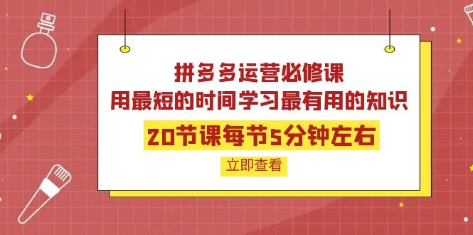 20节实用课程助你掌握拼多多的运营技巧，最快只需5分钟！-网赚项目