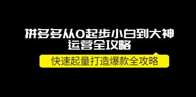 拼多多新手运营指南：从零到大神的全面攻略解析-网赚项目