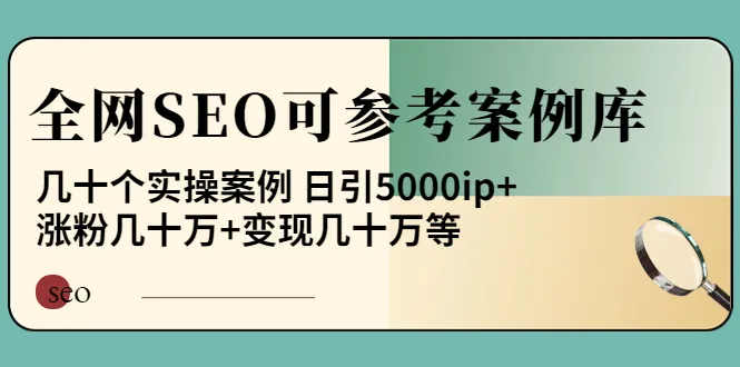 全面解析SEO实操案例，助您提升网站流量和变现能力！-网赚项目