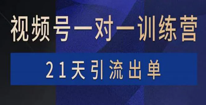 21天掌握短视频赚钱密码：带货、直播、游戏四大热门领域-网赚项目