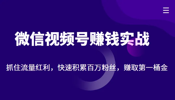 微信视频号运营攻略，快速吸粉变现-网赚项目