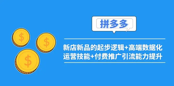 掌握拼多多新店新品运营技能：全面解析 实战指导-网赚项目