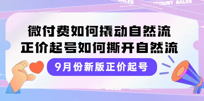 掌握微付费技巧，撬动自然流量的秘诀揭秘-网赚项目