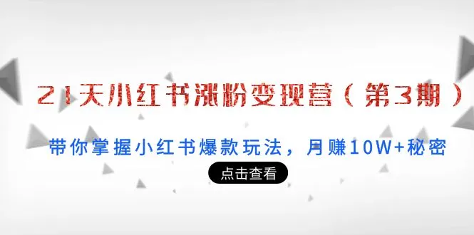 掌握小红书爆款玩法，月收入增多秘密揭秘！21天小红书涨粉变现营带你走上成功之路-网赚项目