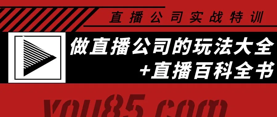 直播公司运营全攻略：从抖音公会到主播招募，一网打尽-网赚项目