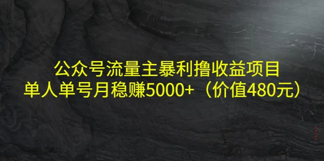 公众号流量变现新秘籍：无需引流，月收入更多 的暴利项目揭秘！-网赚项目