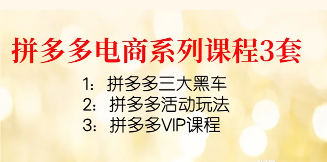 揭秘拼多多电商系列课程：掌握黑车玩法、VIP特权与活动策略-网赚项目