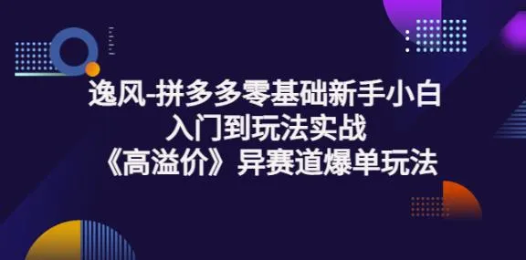 揭秘拼多多新手入门玩法：高溢价异赛道爆单实操课-网赚项目