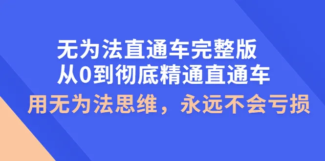 无为法直通车完整版：零基础到精通，用无为法思维走进直通车世界-网赚项目