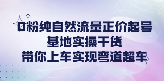 掌握纯自然流量玩法，实现商业弯道超车！-网赚项目