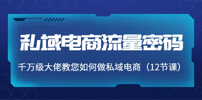 掌握私域电商的关键技巧：解锁千万级大佬传授的私域电商流量密码-网赚项目