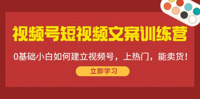 打造有IP感的视频号：视频号短视频文案训练营详解-网赚项目