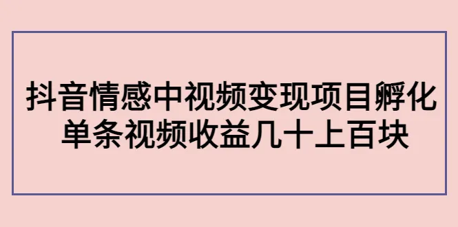 抖音中视频副业孵化营：零基础打造情感内容，揭秘变现项目赚钱秘籍！-网赚项目