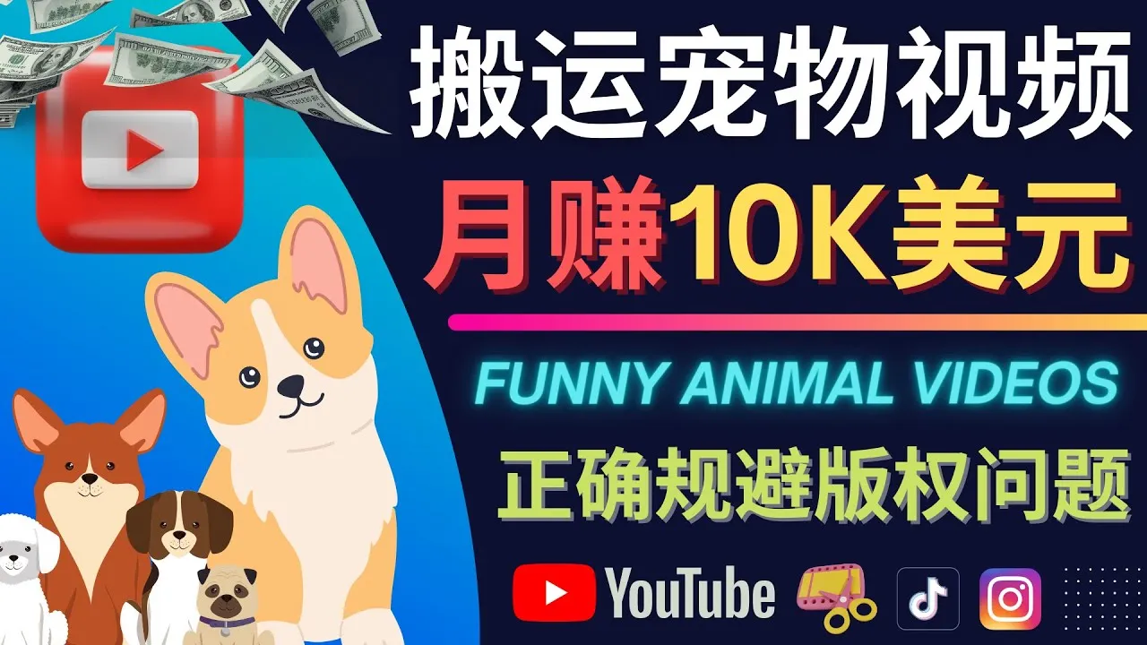 精通YouTube：从TIKTOK视频转移到YouTube并赚取月收入更多美元的完整指南-网赚项目