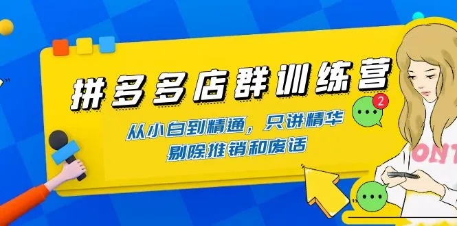 拼多多店群训练营：零基础到运营精通，实用技巧解析-网赚项目