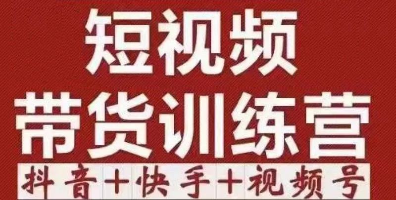 如何在抖音、快手和视频号赚取巨大收益？抖音短视频带货特训营详解！-网赚项目