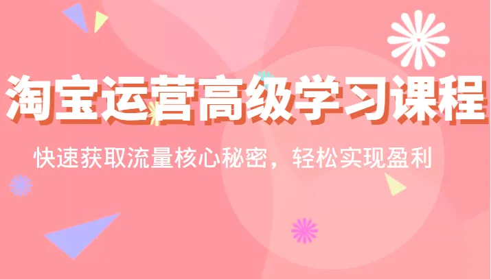 淘宝运营高级课程：解锁流量获取秘籍，轻松实现盈利！-网赚项目