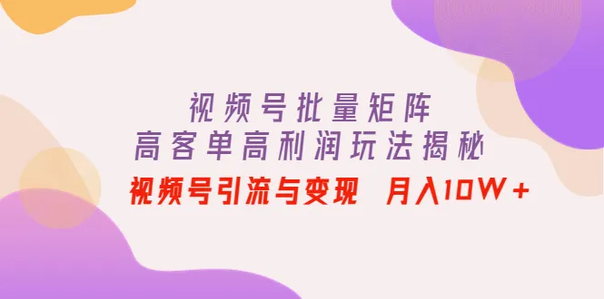 微信视频号电商: 视频号短视频矩阵变现秘籍解析-网赚项目