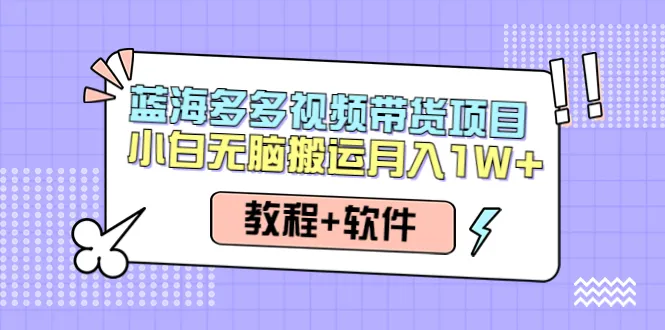 掌握多多视频带货技巧，轻松创业赚取收益-网赚项目