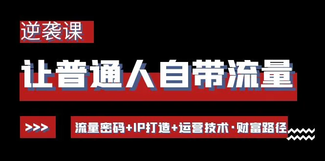 掌握流量密码：打造个人IP、运营技术、财富路径的逆袭课程-网赚项目