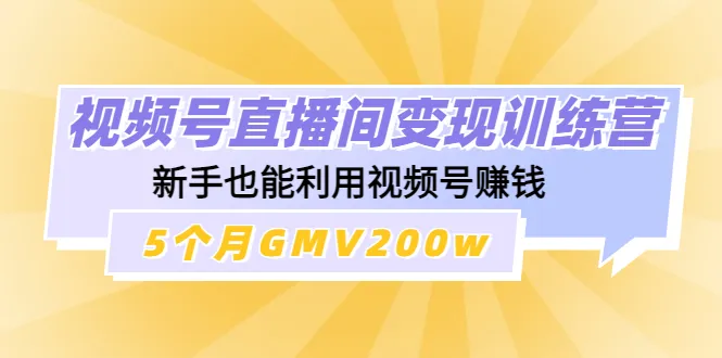 从零开始的视频号直播变现之路：掌握关键技巧，5个月GMV200w！-网赚项目