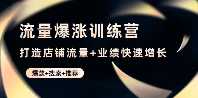 打造店铺爆款与持续流量增长的秘籍：流量爆涨训练营详解-网赚项目