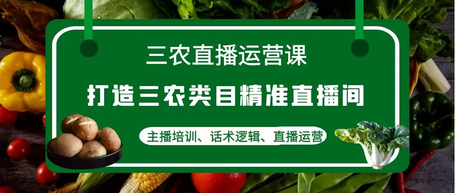 三农直播运营课：解锁精准直播间秘籍，主播培训话术逻辑全揭秘！-网赚项目