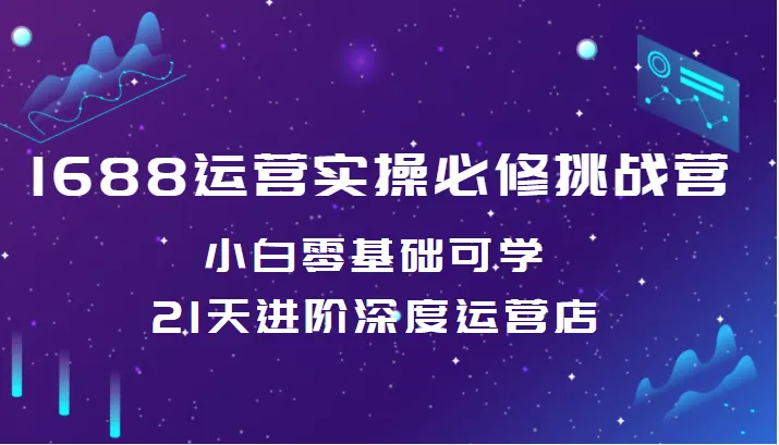 深度运营实操挑战营：全面解析1688店铺运营技巧-网赚项目