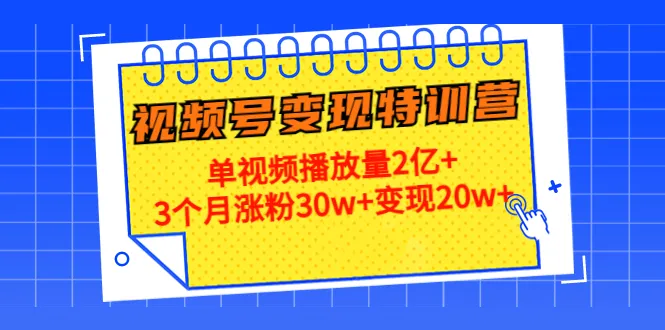 20天视频号变现特训营：打造爆款内容，助力涨粉增收！-网赚项目