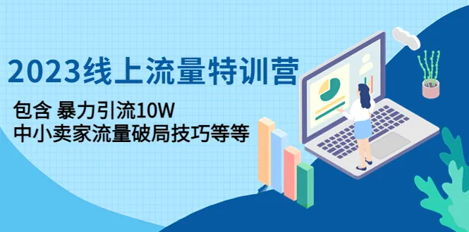 2023线上流量特训营：暴力和技巧助力中小网店突破万流-网赚项目