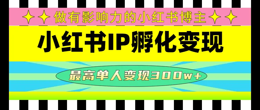 小红书IP孵化：打造影响力博主，实现高额收入增长-网赚项目