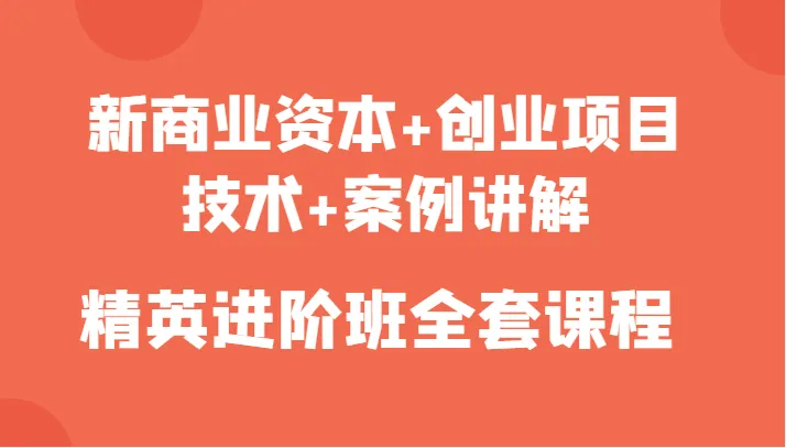 新商业资本助力创业：精英进阶班全套课程解读技术创新与典型案例-网赚项目