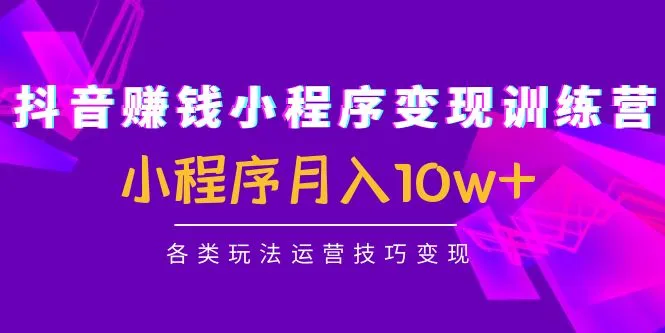 掌握抖音小程序变现技巧：实战训练营揭示月收入更多 秘籍-网赚项目