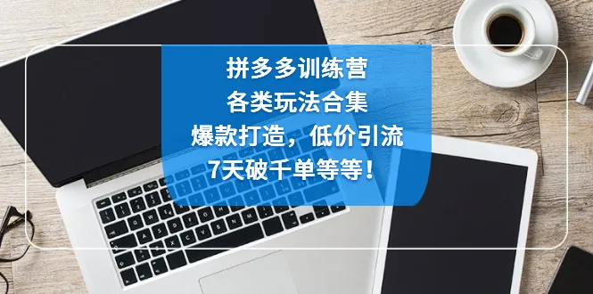 拼多多爆款打造秘籍：低价引流 7天破千单实战指南-网赚项目