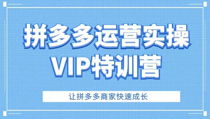 拼多多商家实战 VIP 特训：快速提升销量、客单价与口碑的秘籍-网赚项目