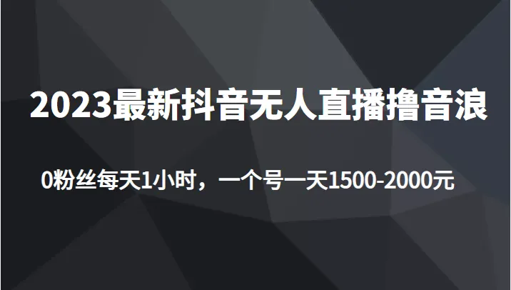 探索2023年最新无人直播撸音浪项目 | 轻松增收每天更多-网赚项目