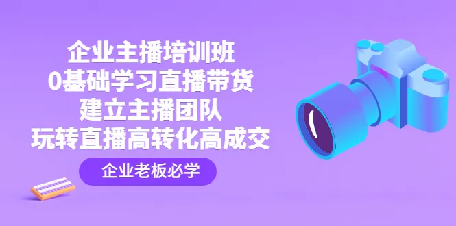 玩转直播：打造主播团队、优化直播间、实现高转化-网赚项目