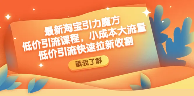 掌握最新淘宝引流技巧：低成本高效引爆流量-网赚项目