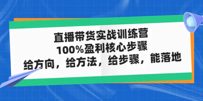 打造直播带货新境界：100%盈利秘籍解析，实战训练营来袭！-网赚项目